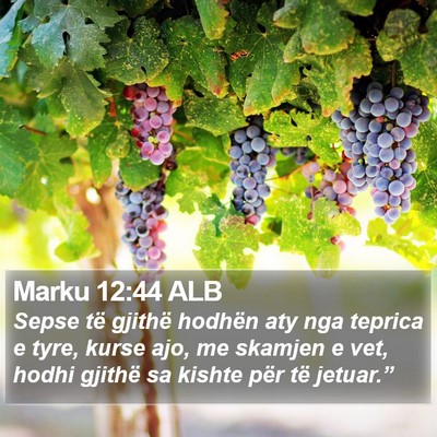 Marku 12:44 ALB Bible Verse Image