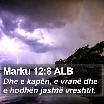 Marku 12:8 ALB Bible Verse Image
