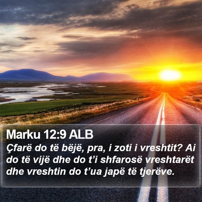 Marku 12:9 ALB Bible Verse Image