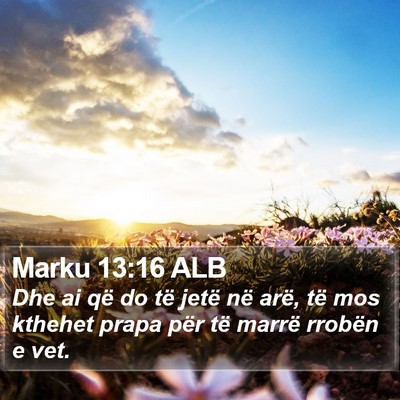 Marku 13:16 ALB Bible Verse Image