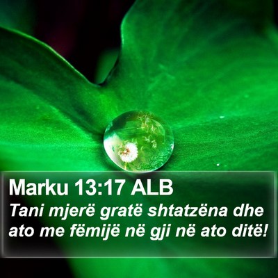 Marku 13:17 ALB Bible Verse Image
