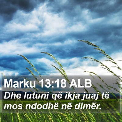 Marku 13:18 ALB Bible Verse Image