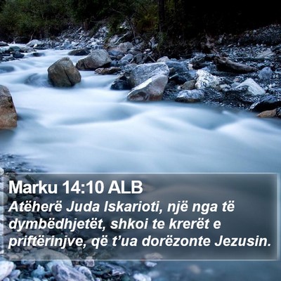Marku 14:10 ALB Bible Verse Image