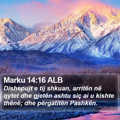 Marku 14:16 ALB Bible Verse Image