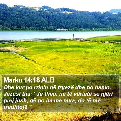 Marku 14:18 ALB Bible Verse Image