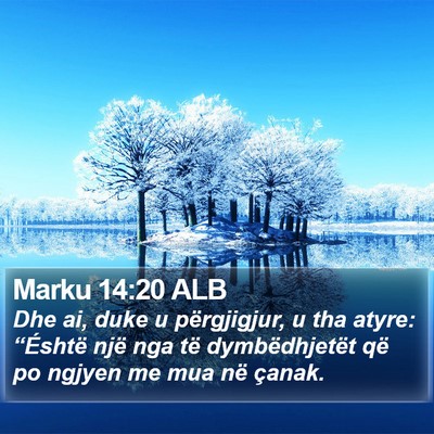Marku 14:20 ALB Bible Verse Image