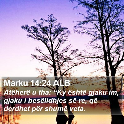 Marku 14:24 ALB Bible Verse Image