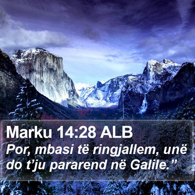 Marku 14:28 ALB Bible Verse Image