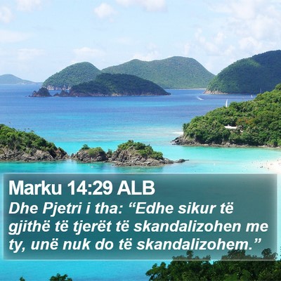 Marku 14:29 ALB Bible Verse Image