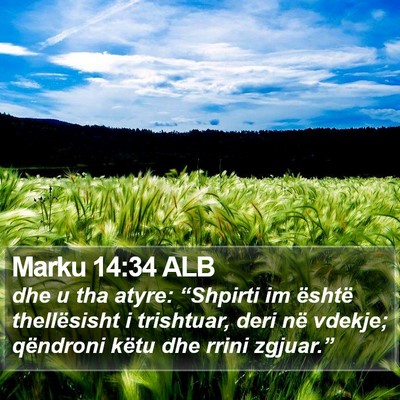 Marku 14:34 ALB Bible Verse Image