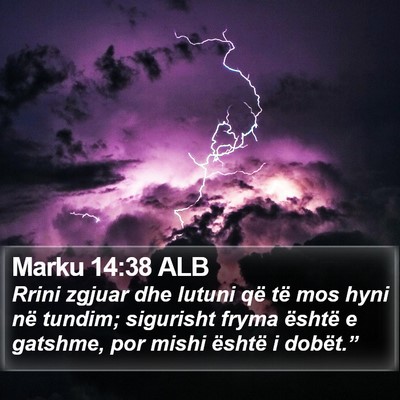 Marku 14:38 ALB Bible Verse Image