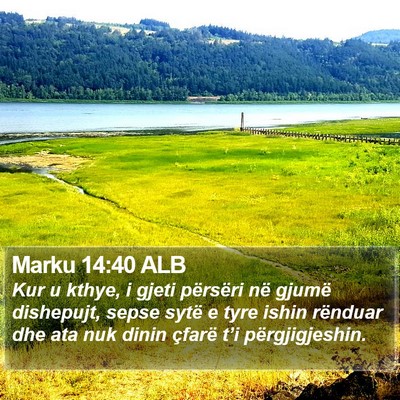 Marku 14:40 ALB Bible Verse Image