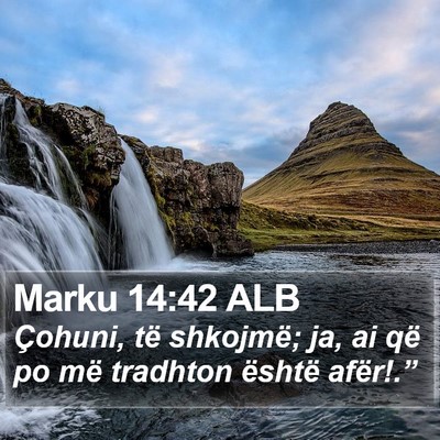 Marku 14:42 ALB Bible Verse Image