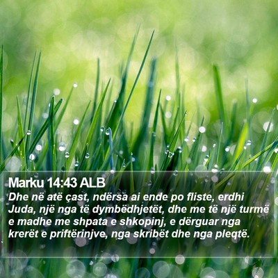 Marku 14:43 ALB Bible Verse Image