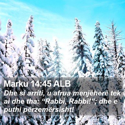 Marku 14:45 ALB Bible Verse Image