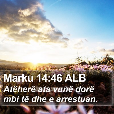 Marku 14:46 ALB Bible Verse Image