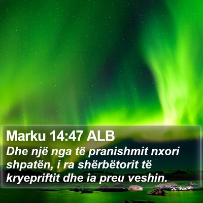 Marku 14:47 ALB Bible Verse Image