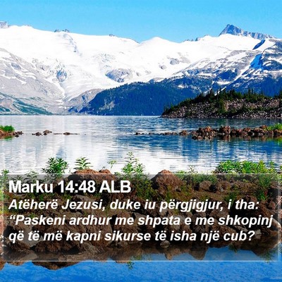Marku 14:48 ALB Bible Verse Image