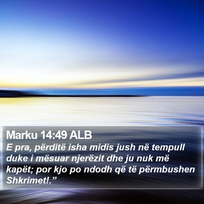 Marku 14:49 ALB Bible Verse Image