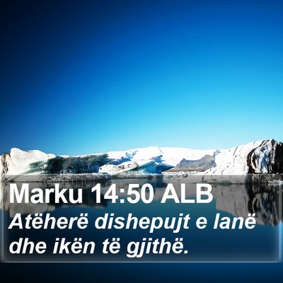 Marku 14:50 ALB Bible Verse Image
