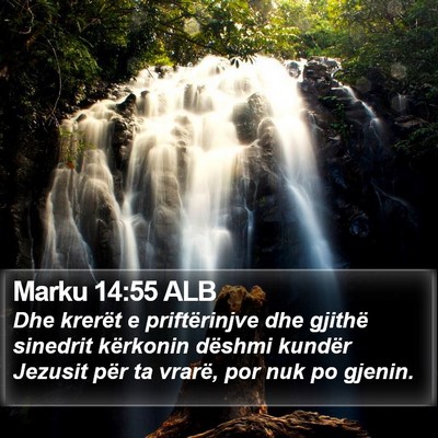 Marku 14:55 ALB Bible Verse Image