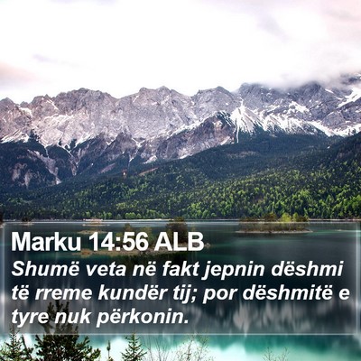 Marku 14:56 ALB Bible Verse Image