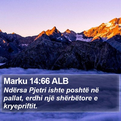 Marku 14:66 ALB Bible Verse Image