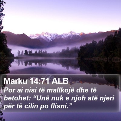 Marku 14:71 ALB Bible Verse Image