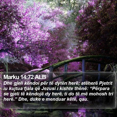 Marku 14:72 ALB Bible Verse Image
