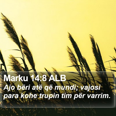 Marku 14:8 ALB Bible Verse Image