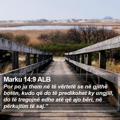 Marku 14:9 ALB Bible Verse Image