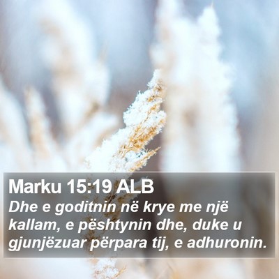 Marku 15:19 ALB Bible Verse Image