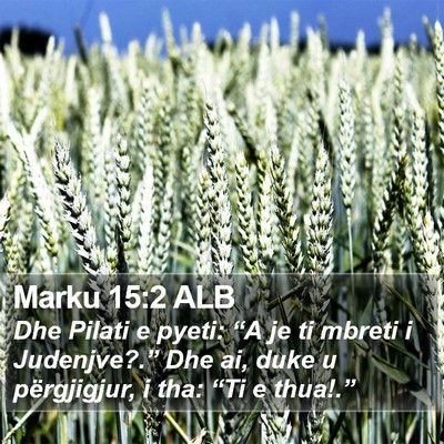 Marku 15:2 ALB Bible Verse Image
