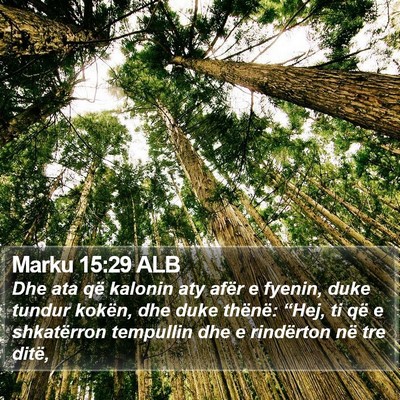 Marku 15:29 ALB Bible Verse Image