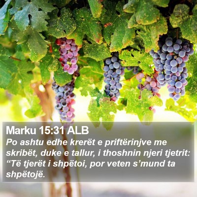 Marku 15:31 ALB Bible Verse Image