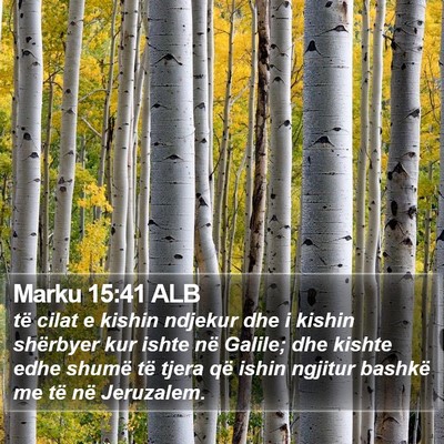 Marku 15:41 ALB Bible Verse Image