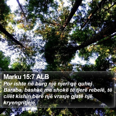 Marku 15:7 ALB Bible Verse Image