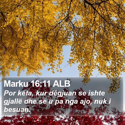 Marku 16:11 ALB Bible Verse Image
