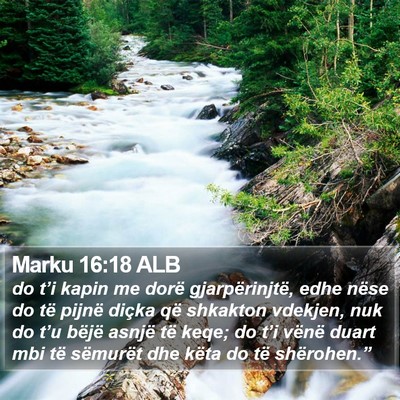 Marku 16:18 ALB Bible Verse Image