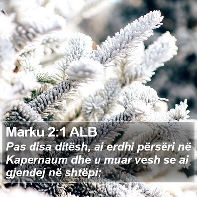 Marku 2:1 ALB Bible Verse Image