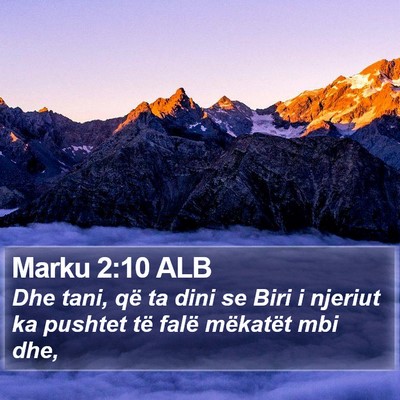 Marku 2:10 ALB Bible Verse Image
