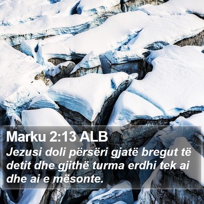 Marku 2:13 ALB Bible Verse Image