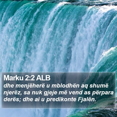 Marku 2:2 ALB Bible Verse Image