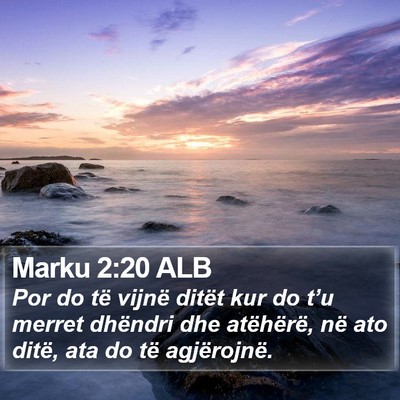 Marku 2:20 ALB Bible Verse Image
