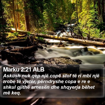 Marku 2:21 ALB Bible Verse Image