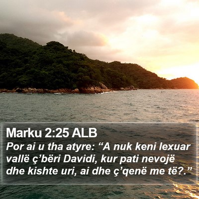 Marku 2:25 ALB Bible Verse Image
