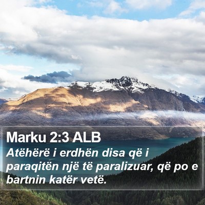Marku 2:3 ALB Bible Verse Image