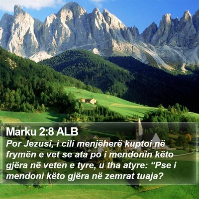 Marku 2:8 ALB Bible Verse Image