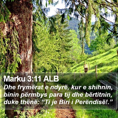 Marku 3:11 ALB Bible Verse Image