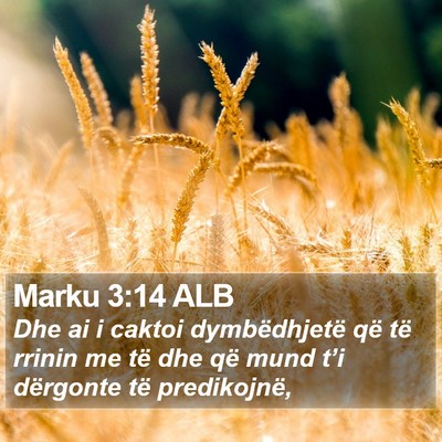 Marku 3:14 ALB Bible Verse Image